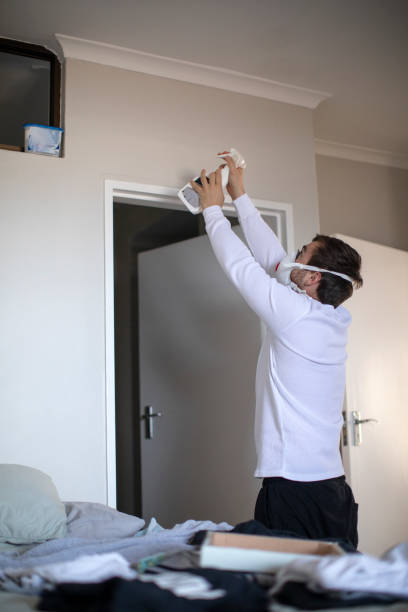 Mold Remediation for Vacation Homes in Colony Park, PA