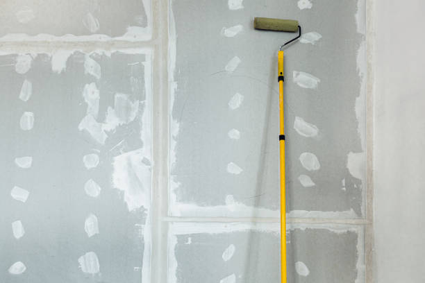 Best Airborne Mold Testing  in Colony Rk, PA