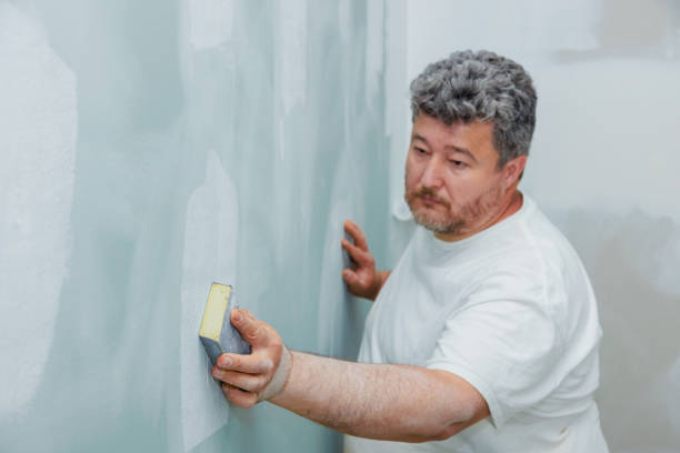 Best Black Mold Removal  in Colony Rk, PA